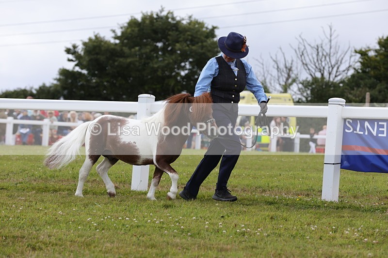1X9A4745 - Class 35: Veteran In Hand