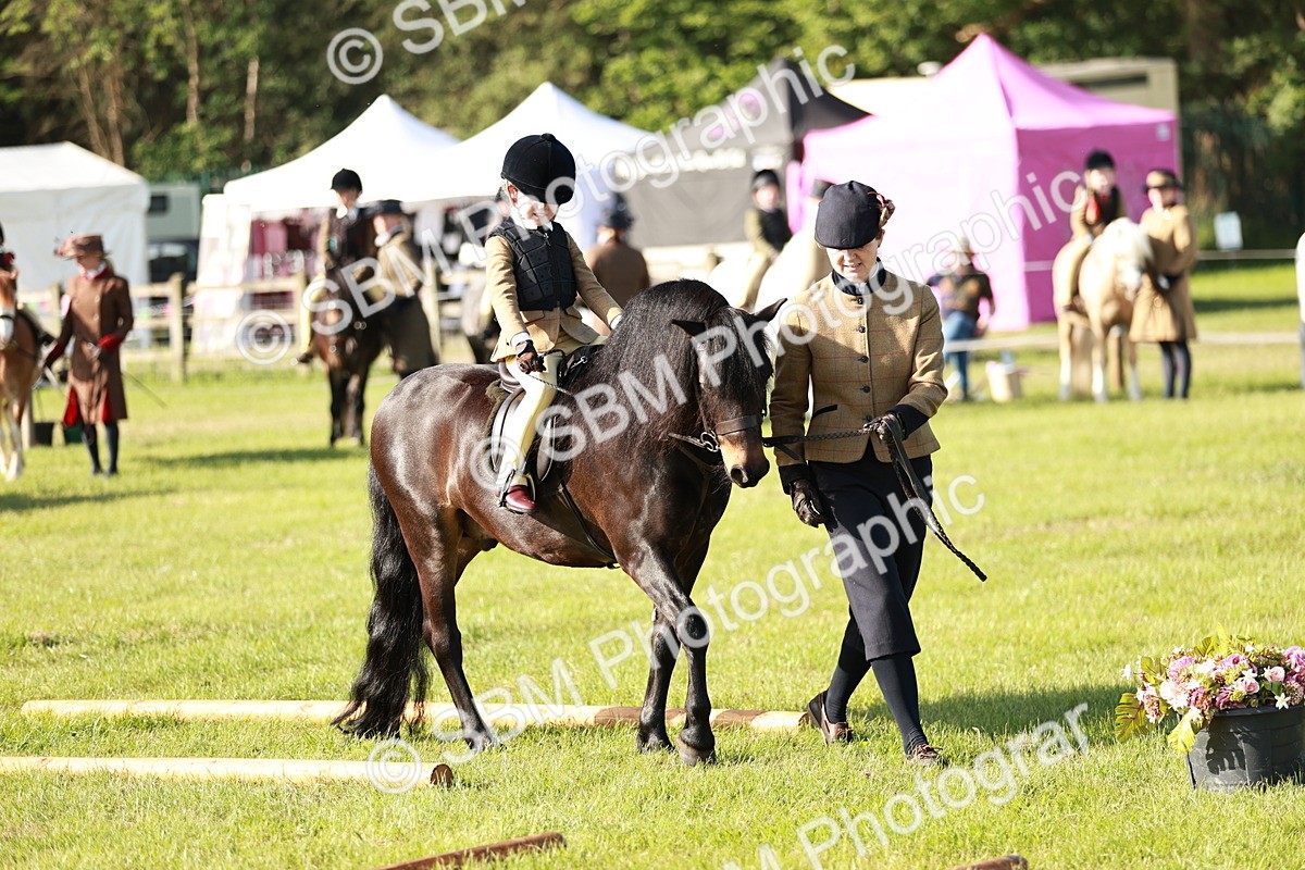 SBM_11154 - Class 106-107 - BSPS LIHS Working Sports Pony