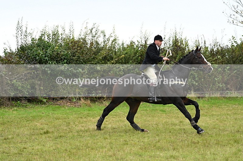 WJ7_4055 - Camera 1 Line 2