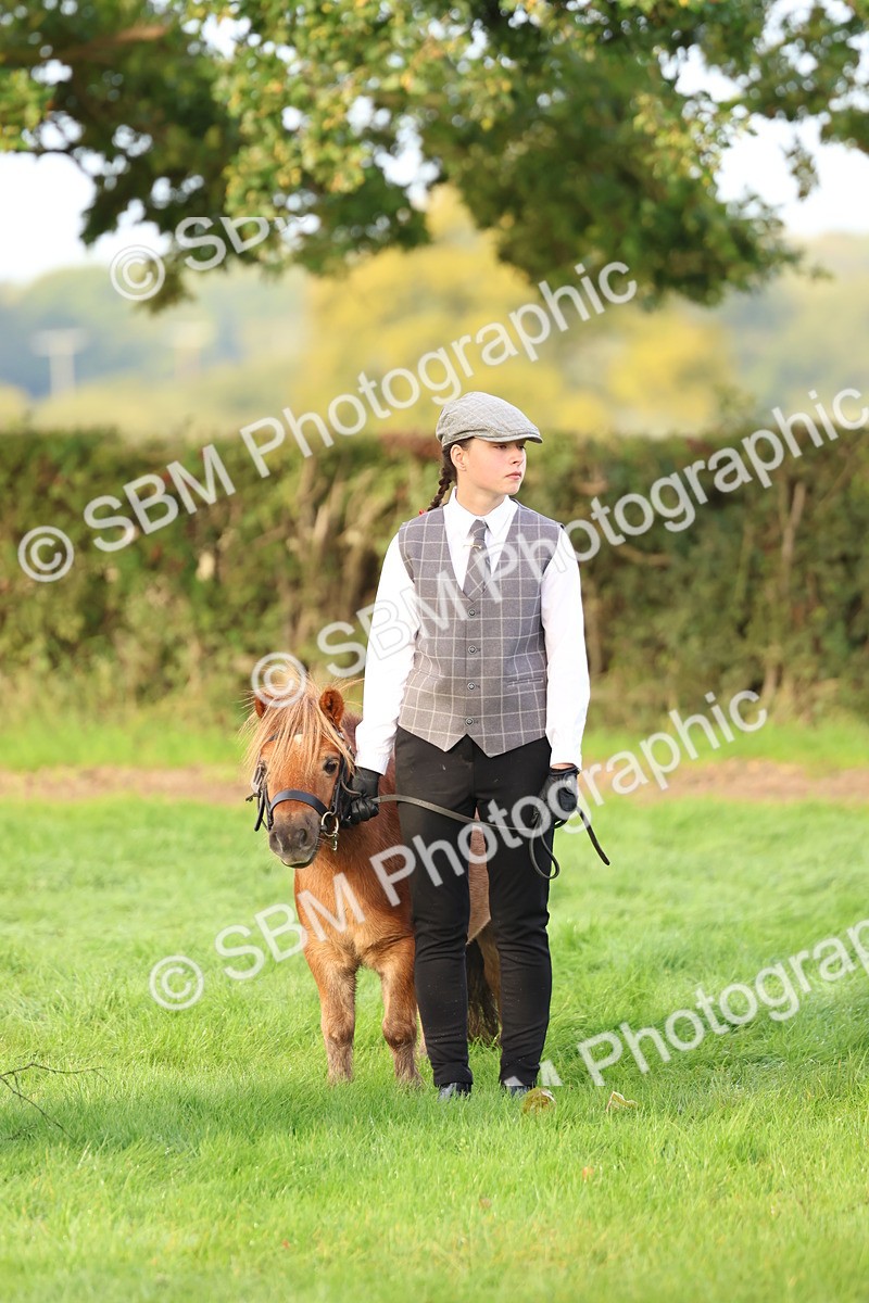 SBM_54894 - S39 - Starters In Hand Showing