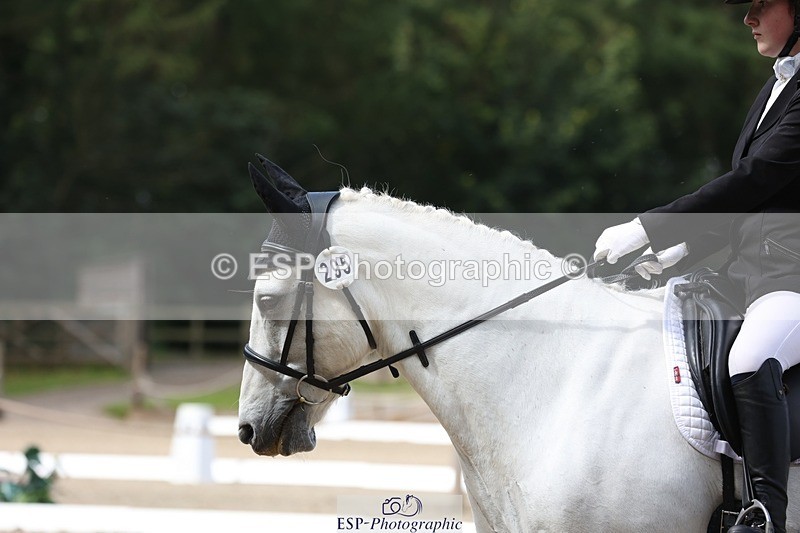 230812-113328-03796 - Cls 5 Novice Bronze 11.15 to 12.50 break