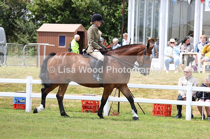 3E7A1834 - Class 10: Open Cob