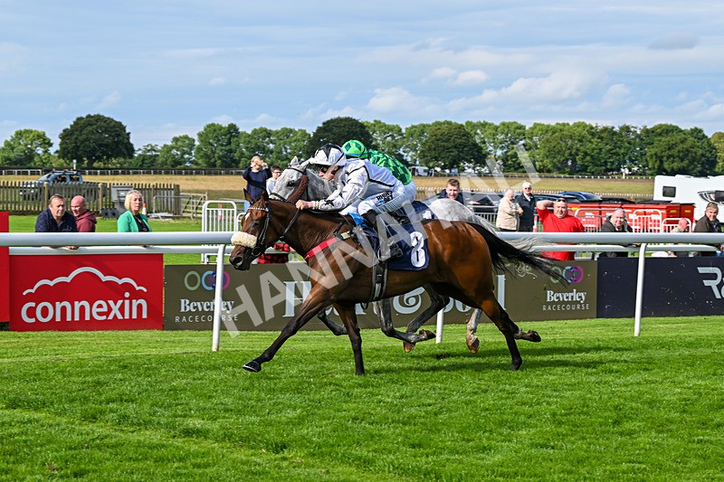 160724-Race 6-Blufferonthebus-9448 - Race 6