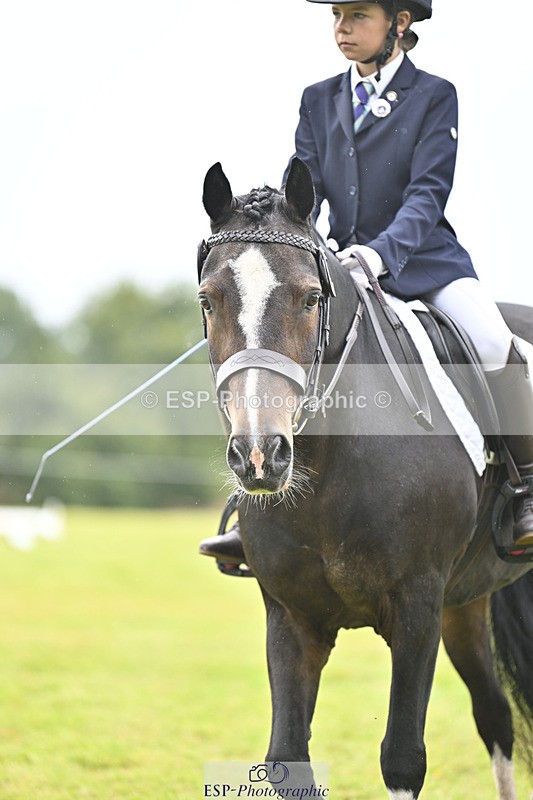 240824X-103827-21744 - D70 Section A and B 9.30 to 10.40