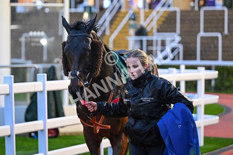 141125-Race 6-Farhh Echo-1435 - Race 6