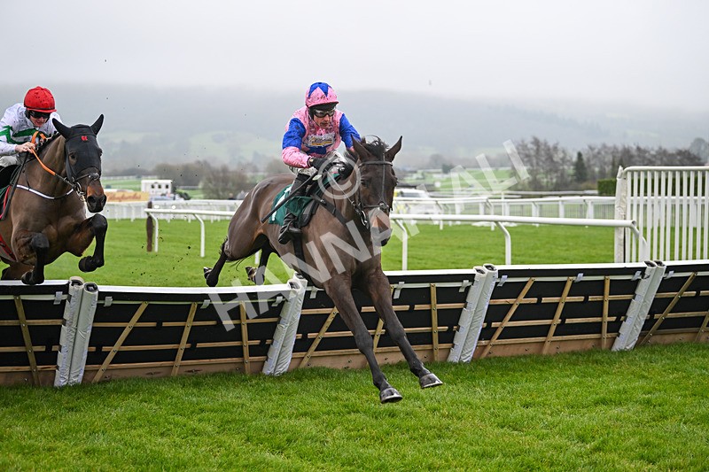 131224-Race 1-Country Mile-8576 - Race 1