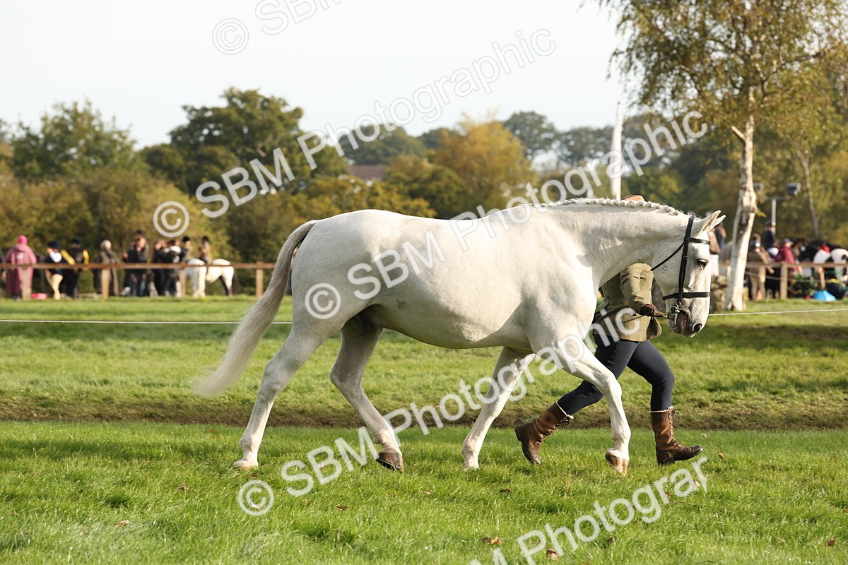 SBM_54690 - S53 - Hunter In Hand