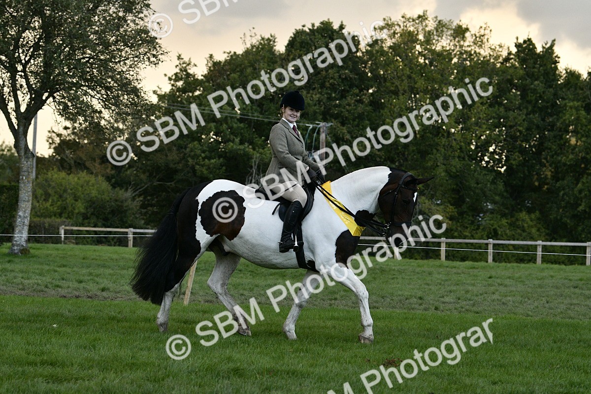SBM_53294 - S14 - Riding Club Horse