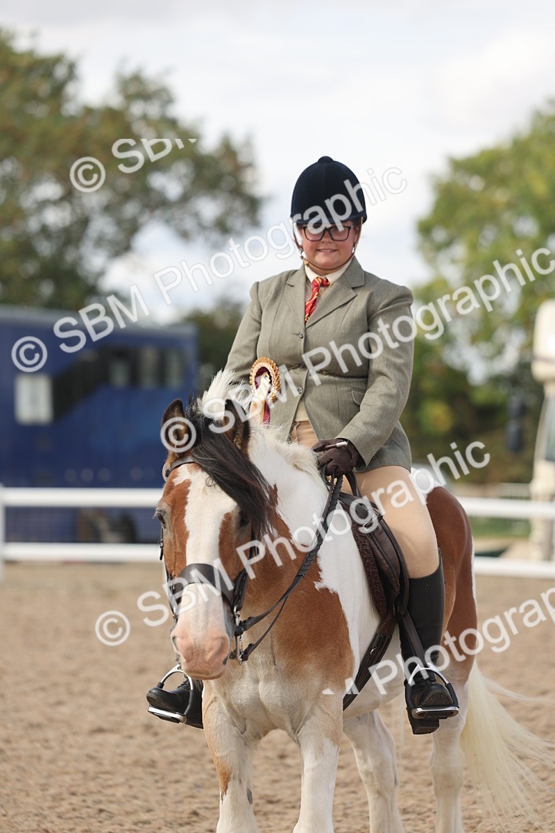 SBM_14867 - Class 308 - Ridden Coloured Horse