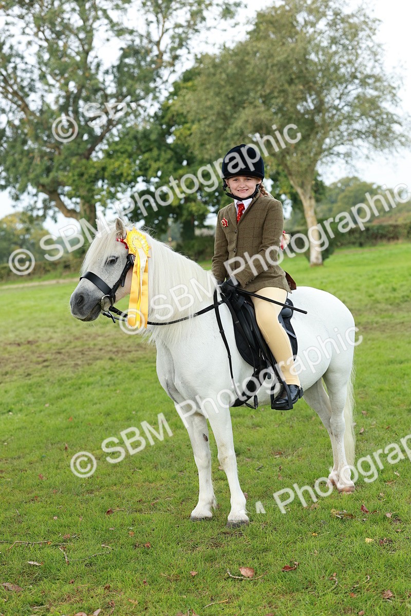 SBM_56484 - S39 - Starters In Hand Showing