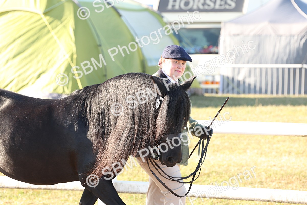 SBM_10756 - Class 201 - Best Turned Out - IH