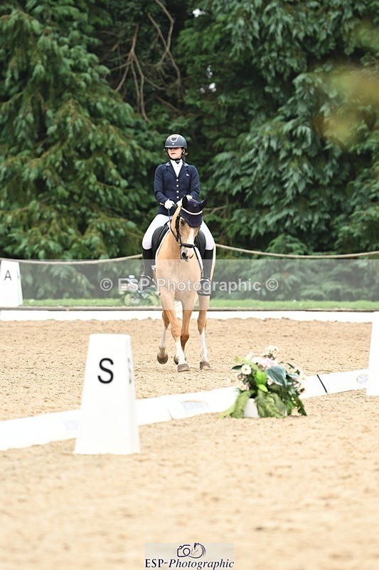 240811-122613-05829 - 301-Sophia.Longworth-Don.Deluxe