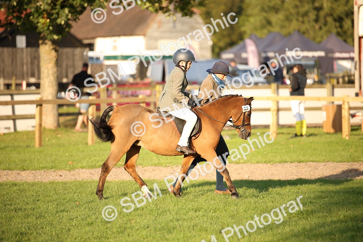 SBM_54470 - S27 - Mature Veteran - Ridden