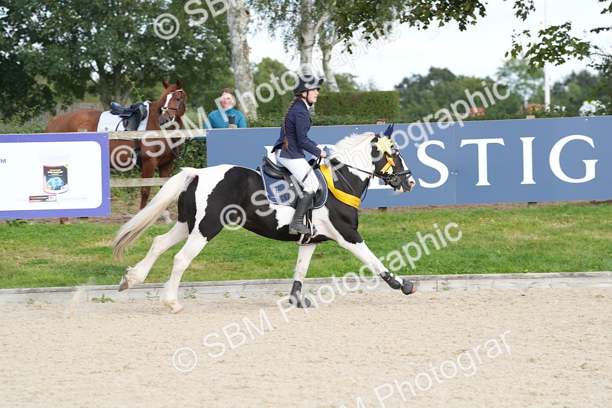 SBM_48918 - J22 - Junior Horse 65cm Championship
