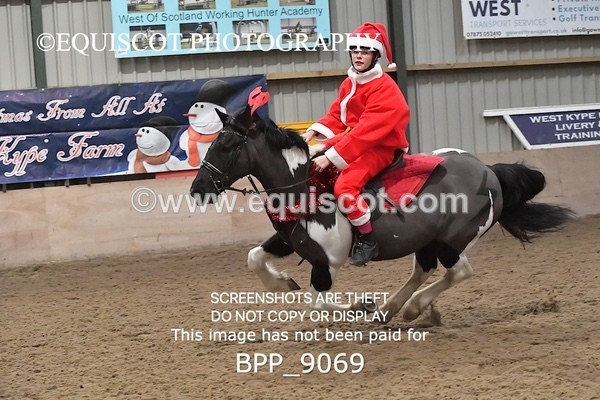 BPP_9069 - CLASS 3 50CM-70CM Pairs Show Jumping