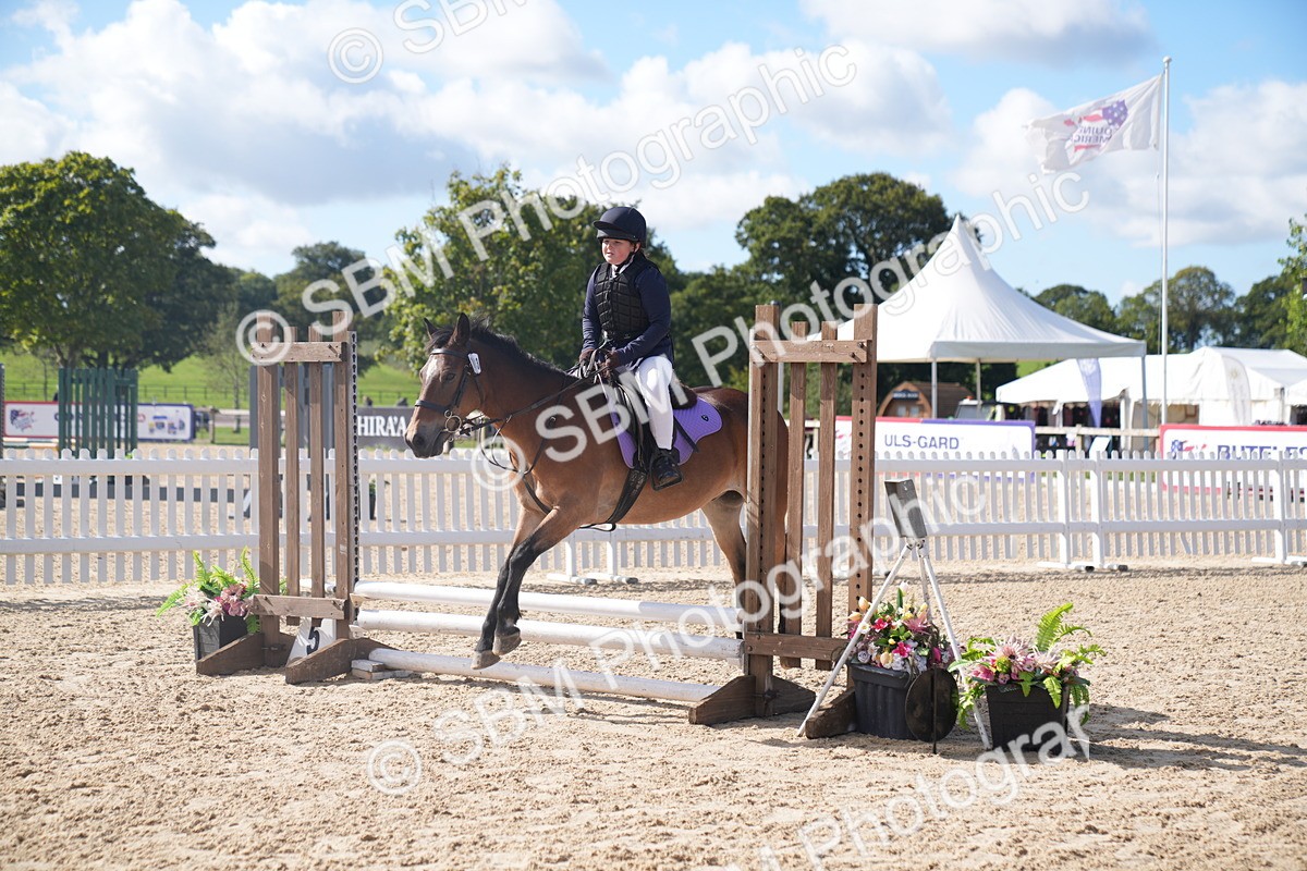 SBM_02452 - J54 Clear Round 45cm