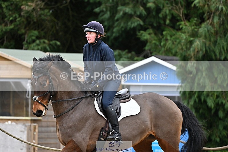 250201A-102151-00208 - Cls 01 Local Horse 90cm