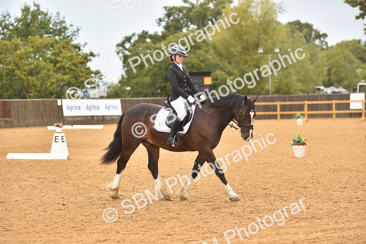 SBM_02132 - D7 - Small Tour Championship Prelim 2