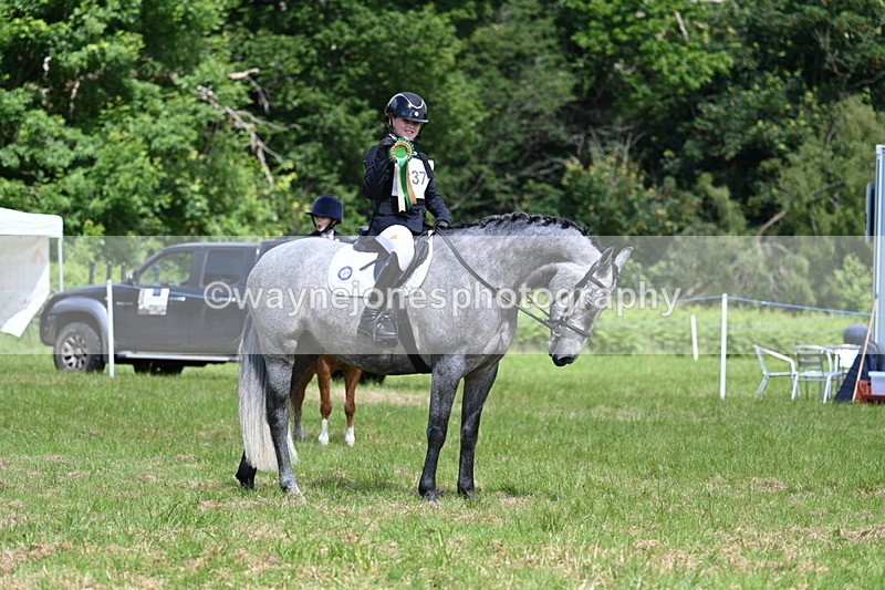 WJ7_1829 - Class 9 Pony Club Pony
