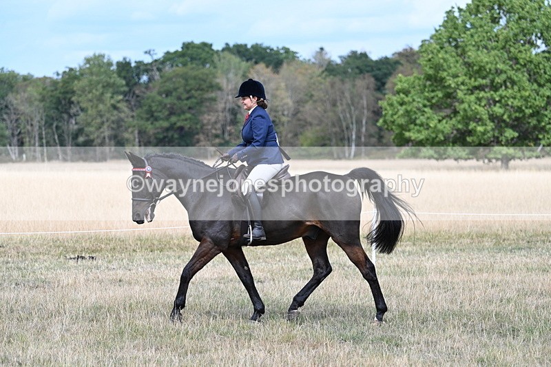 WJ7_5794 - Class 13 Ridden Veterans
