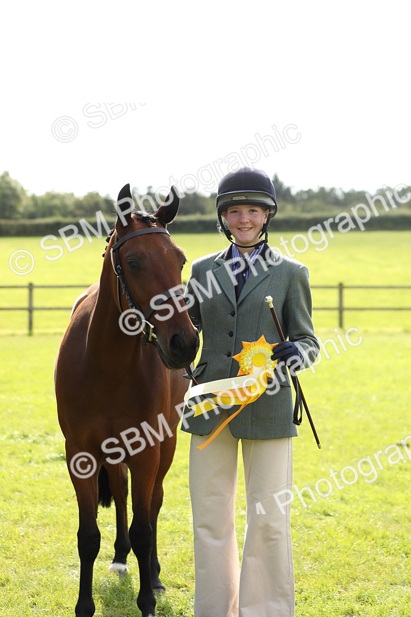 SBM_65632 - S48 - Show Pony & Show Hunter Pony In Hand