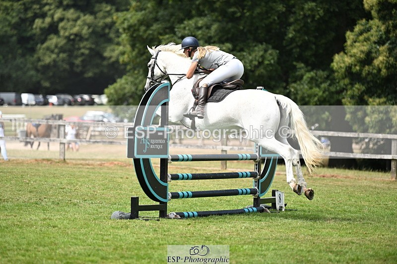 250704A-113823-07318 - Cls 25 Snr British Novice and 90cm