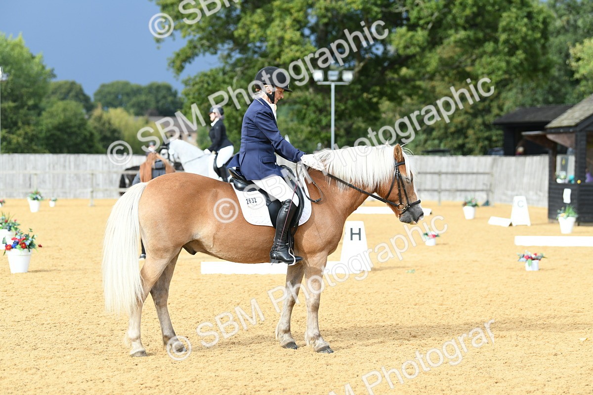 SBM_10935 - D28 Elementary Taster Elementary 42