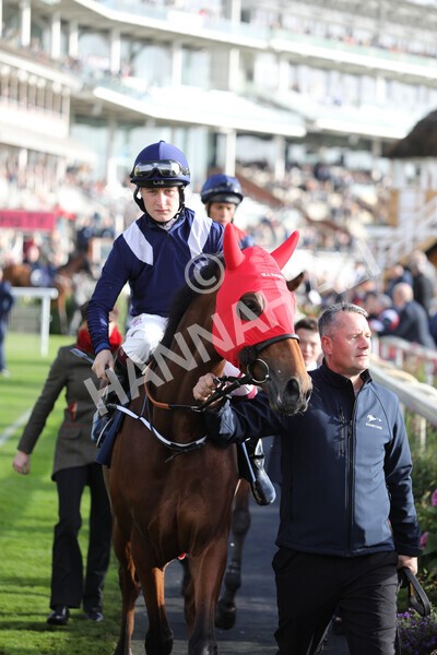 yr07102022r4-17 - Race 4 3.50pm William Hill Best Odds Guaranteed Stakes