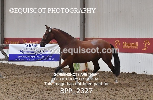 BPP_2327 - AFTERNOON 12.30 - 3.30PM