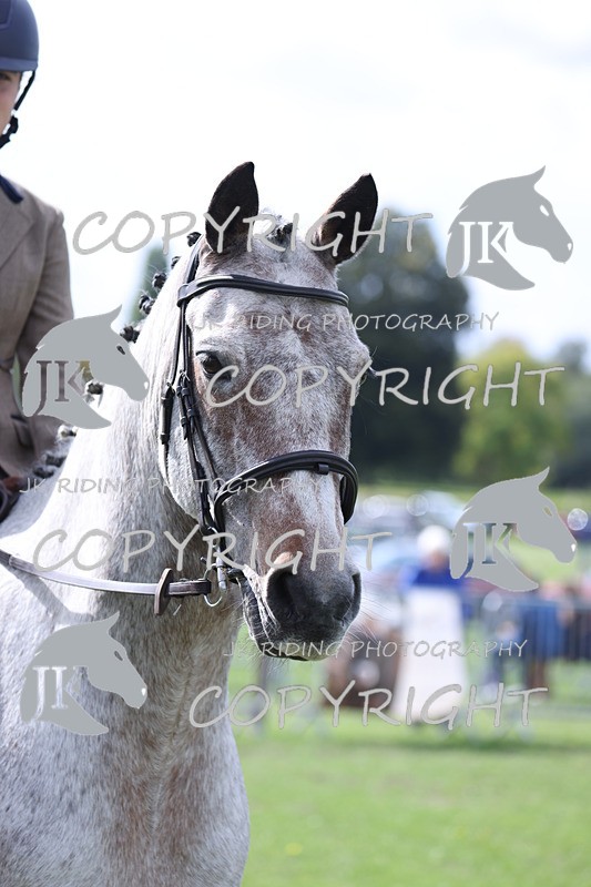 APP_3257 - Class 11 Veterans ridden