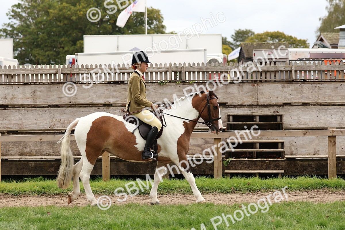 SBM_64371 - S58 - Coloured Pony Ridden