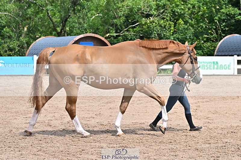 240718A-105251-01236 - Trot Up 12pm to 1pm