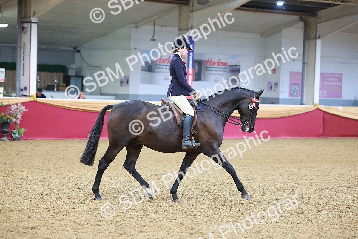 SBM_10664 - Class 103 - HOYS Veteran Qualifier - Ridden Pre Vet