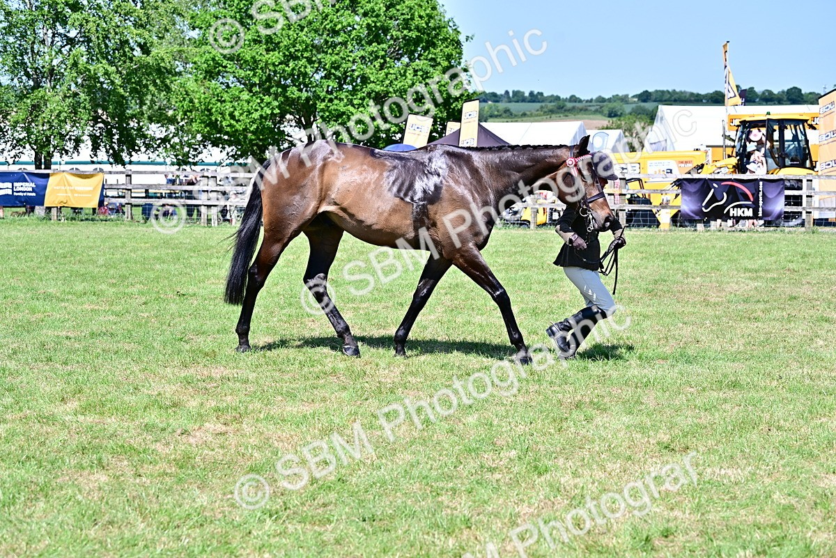 SBM_18239 - Class 99-100 - Retraining of Racehorses Ridden