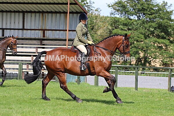 SIAL6970 - Ring 1 & 3