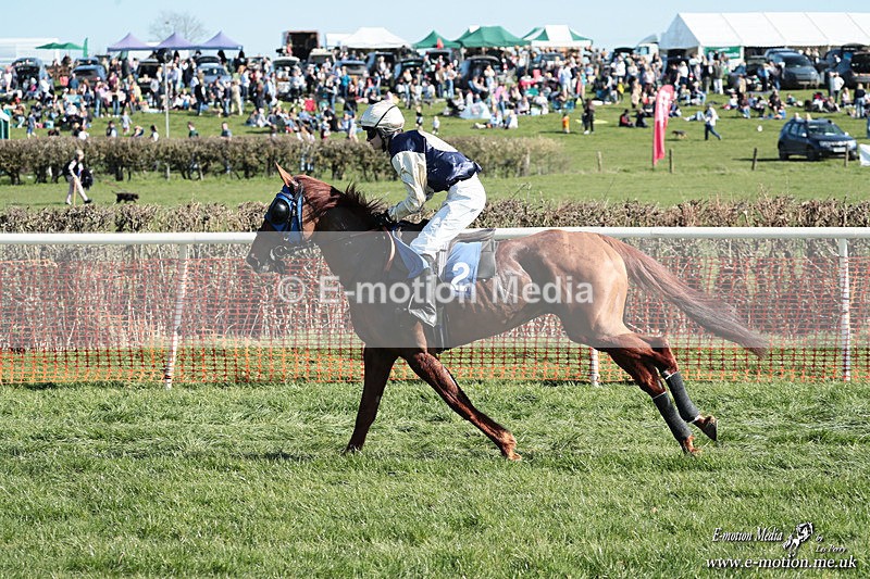 PtP 210326 238 - VWH Cirencester Races 21/03/26