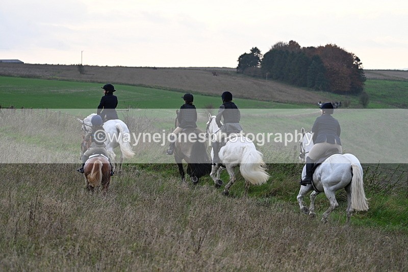 WJ7_0089 - Camera 1 & Last fence