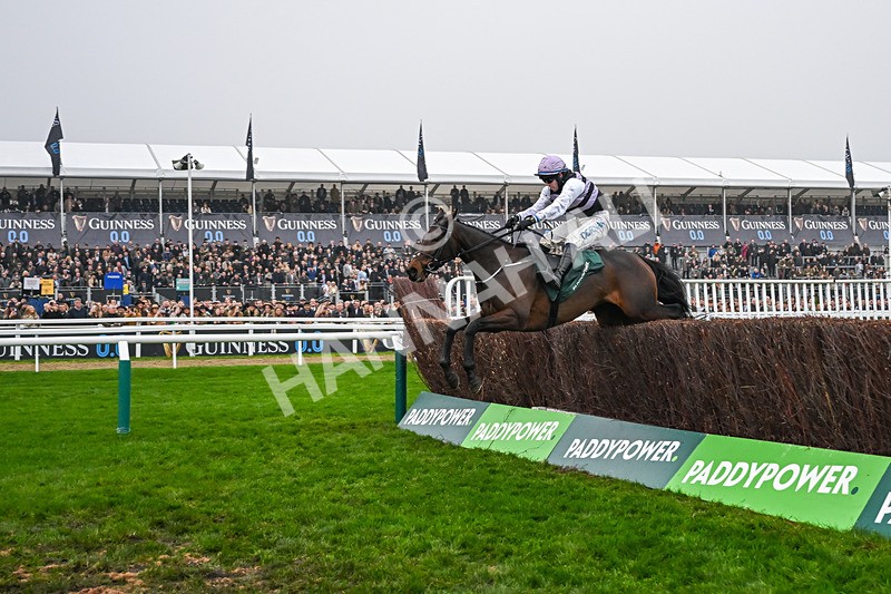 151125-Race 3-July Flower--3012 - Race 3