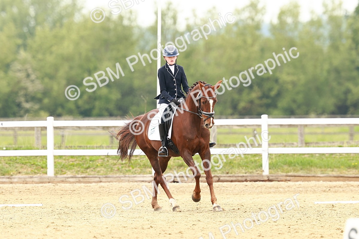 SBM_001138 - Class 6 - Novice 4