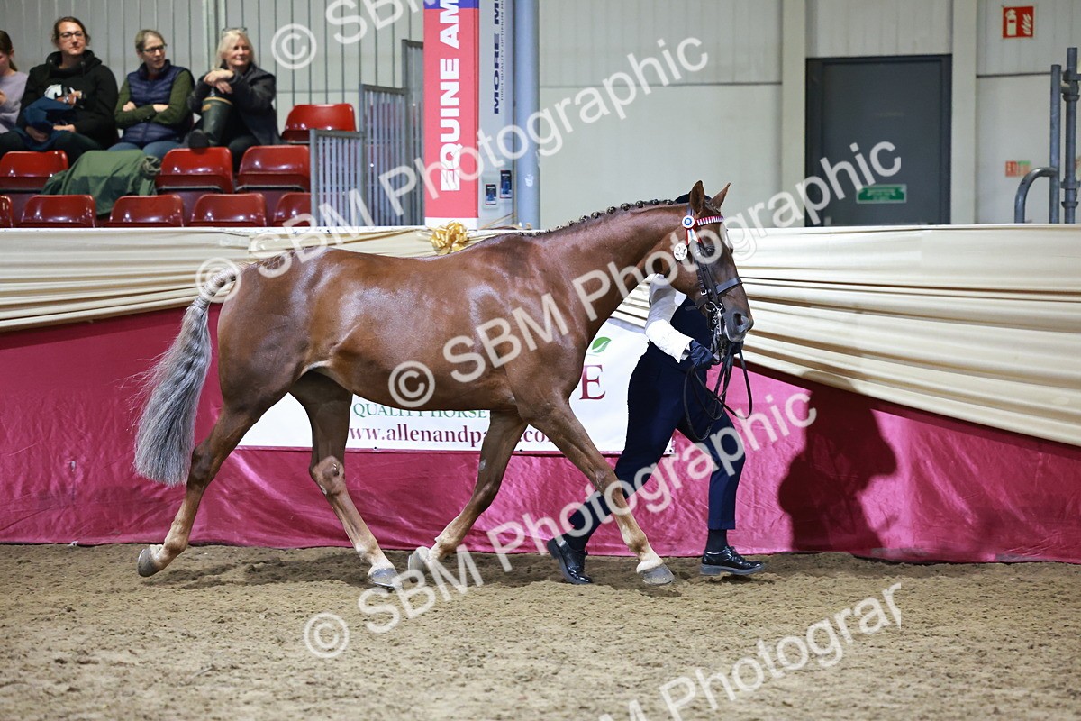 SBM_21209 - Class R - Veteran Champ