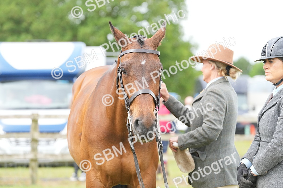 SBM_12737 - Class 97-98 - LIHS BSHA Rising Star Working Show Horse Hunter