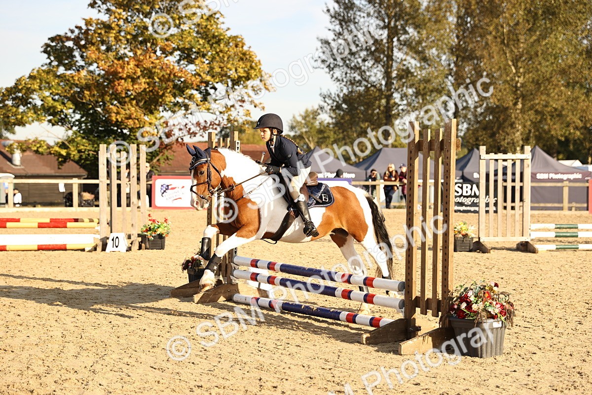 SBM_59469 - J11 - Junior Pony 50cm Championship