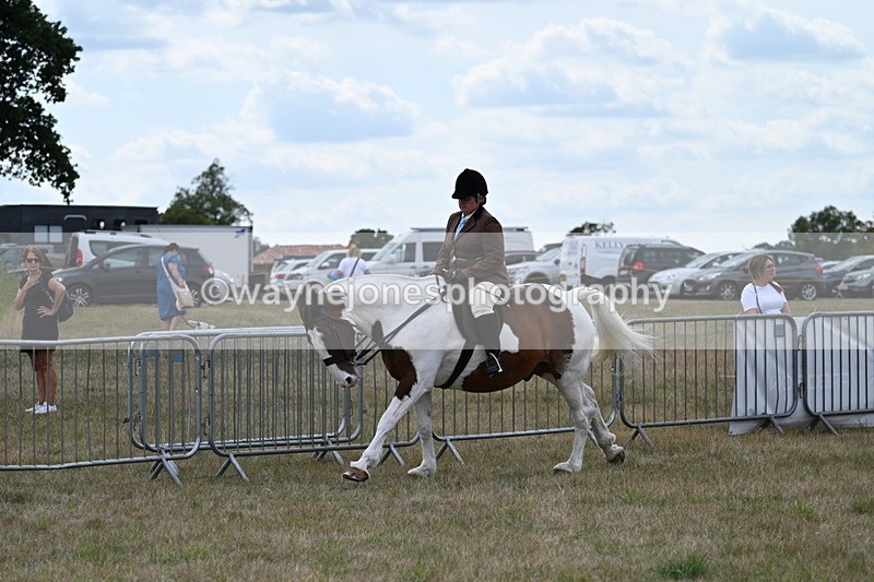 WJ7_5045 - Class 12 Ridden Cob