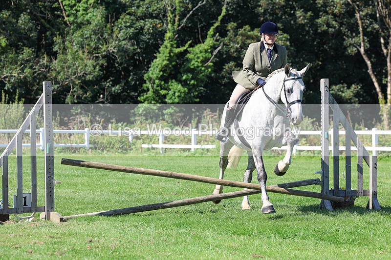 3E7A8241 - Class 4: Novice working Hunter