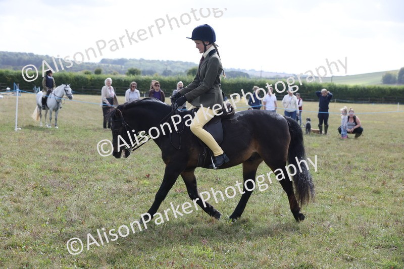 20250831-1162 - Class 15 - Ridden Veteran