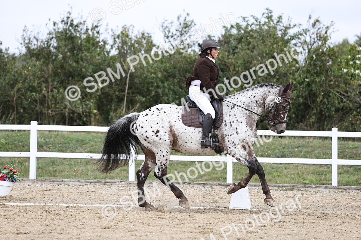 SBM_016856 - Class 14 Novice 23 - 11.53-12.56