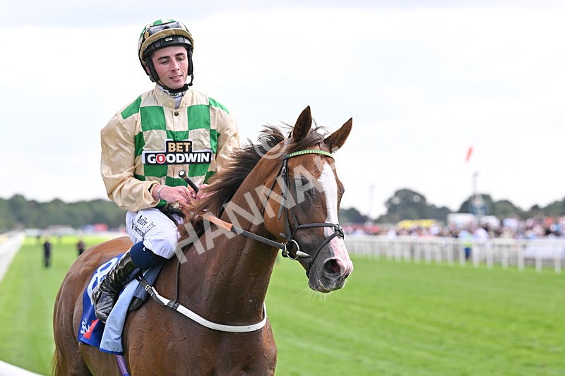 220826-161 Daiquiri Bay - Race 4 15.35pm Sky Bet Ebor Handicap