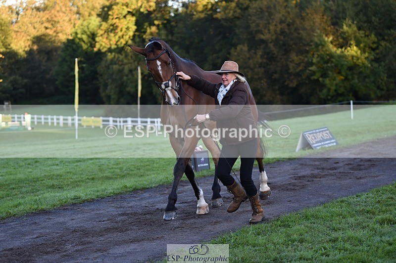 231022-084414-21322 - 637-JOIE.DE.TOURLIDA-Bronia.Hill-TrotUp+SJ