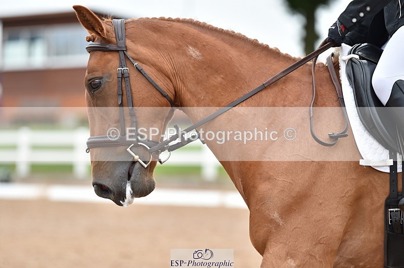 230630A-165132-03511 - Cls 4 Prelim 18