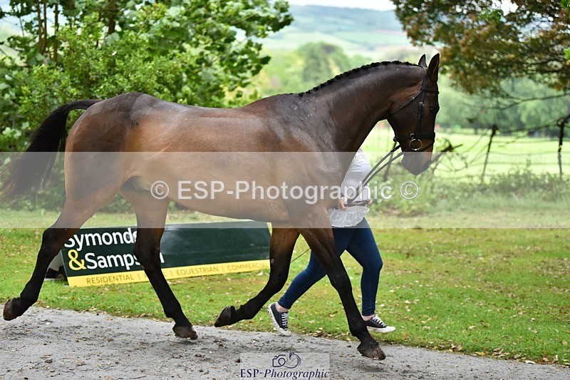 240522-155424-00576 - 102-TYNAN_COOLEY-Lucy_Stimson